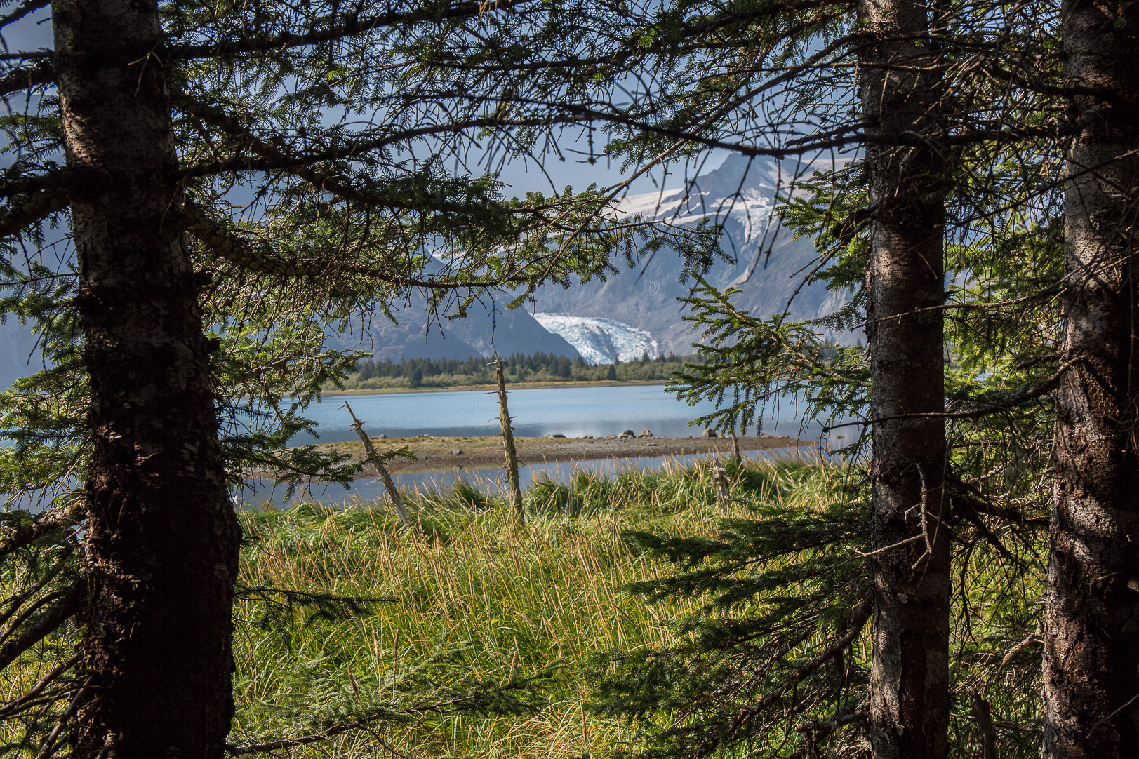 Utsikt över Pedersen lagoon och Pedersen  Glacier från rummet på Kenai Fjords Glacier Lodge