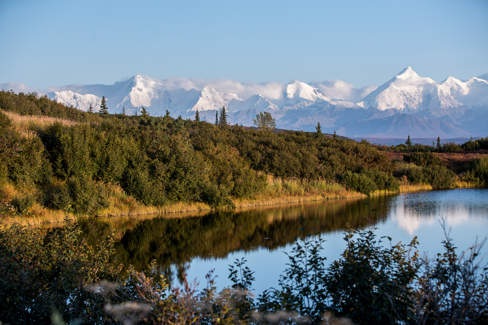 Bergskedjan Alaska Range i bakgrunden av Reflection pond.