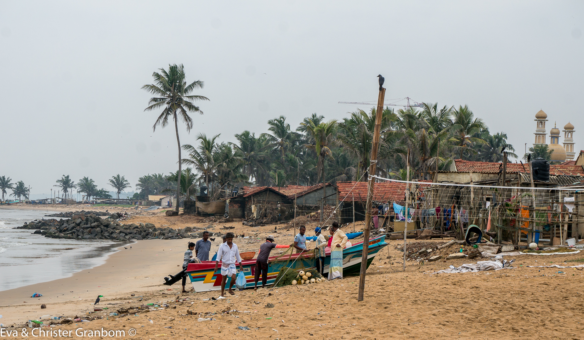 Fiske i Negombo